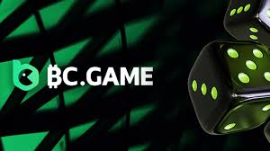 BC.Game Registration Process A Step-by-Step Guide BC.Game Registration Process A Step-by-Step Guide