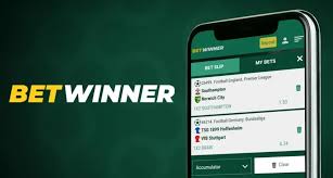 Exploring the BetWinner Gambling Platform A Comprehensive Guide -813472558